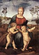 RAFFAELLO Sanzio Madonna del Cardellino ert France oil painting reproduction